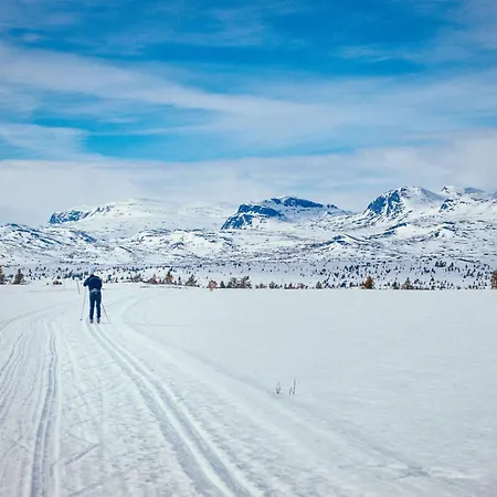 Semesterbostad Modern Mountain - 3 Bedrooms - Sleeps 7