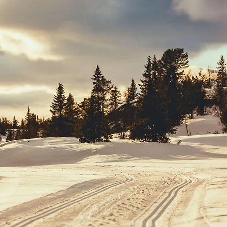 Semesterbostad Modern Mountain - 3 Bedrooms - Sleeps 7 *