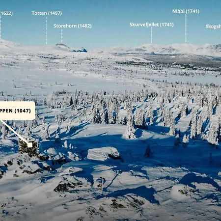 Semesterbostad Modern Mountain - 3 Bedrooms - Sleeps 7 *