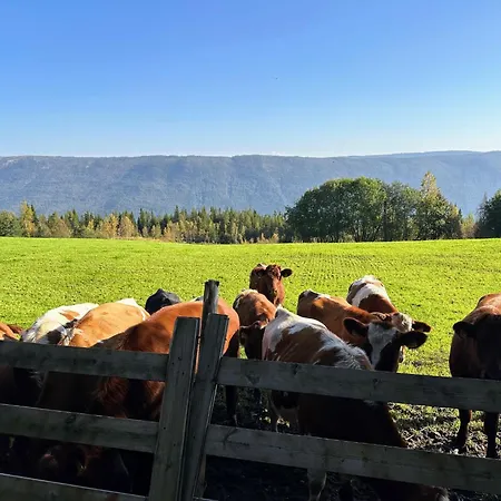 Modern Mountain - 3 Bedrooms - Sleeps 7 Semesterbostad Torpo